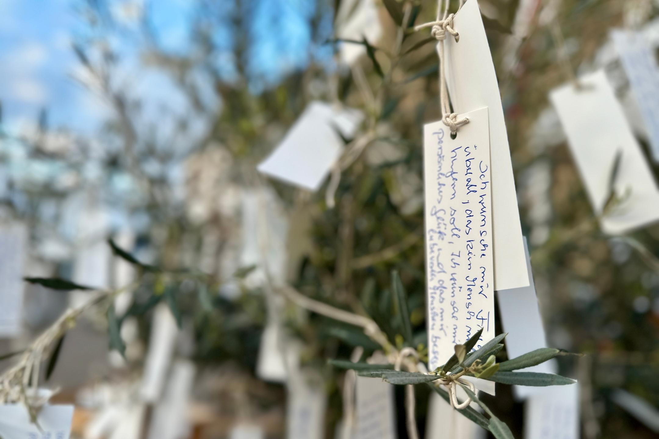 Viele kleine weiße beschriftete Zettel hängen an einem Olivenbaum (c) Bistum Trier/Inge Hülpes Viele kleine weiße beschriftete Zettel hängen an einem Olivenbaum