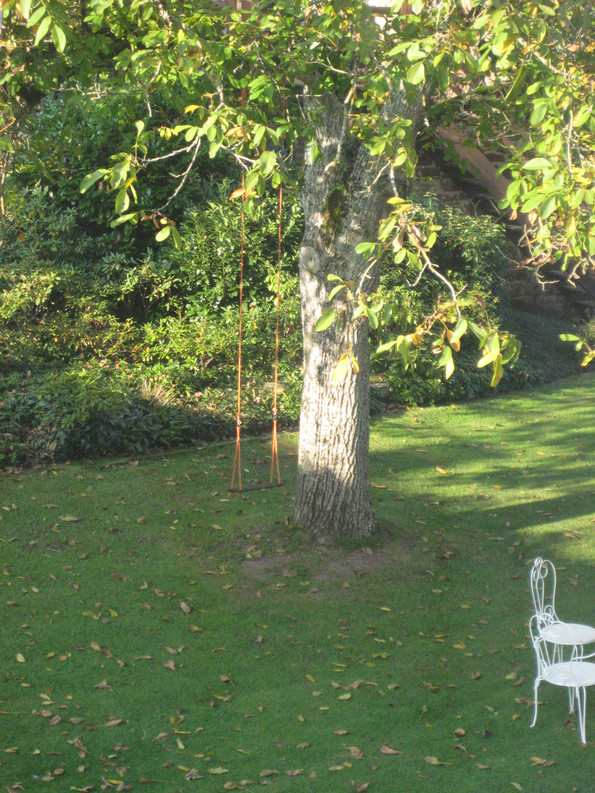 Eine Wiese auf dem ein Baumwächst. An dem Baum hängt eine Schaukel.