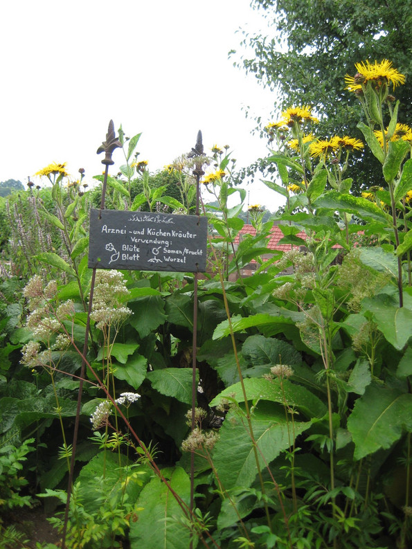 Ein Schild in mitten von Pflanzen