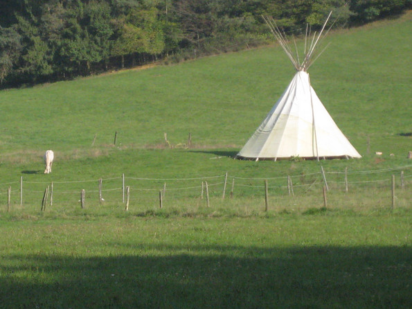 Ein Tipi auf einer großen Wiese 