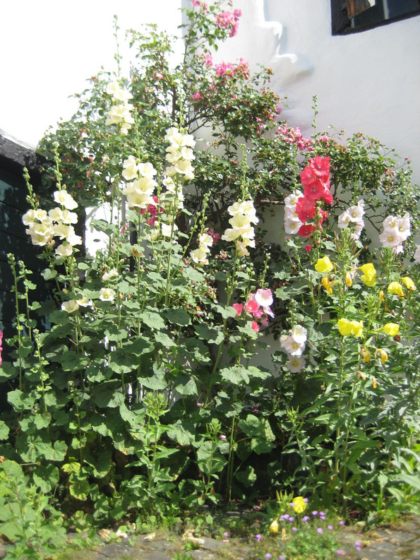 Blumensträuche